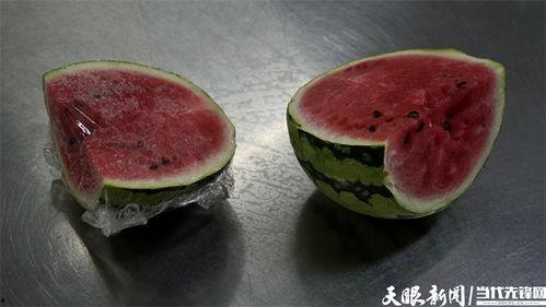 娱乐吃菌瓜,探寻娱乐与美食的完美融合