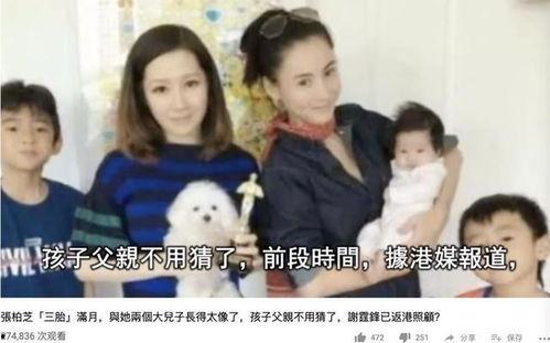 娱乐圈吃瓜网友吐槽